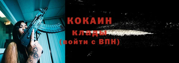 хмурый Арсеньев