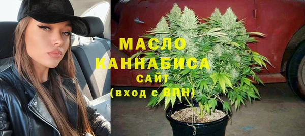 хмурый Арсеньев
